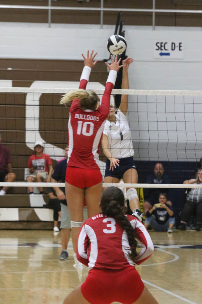 Gallery: Girls volleyball - Crown Point at Michigan City